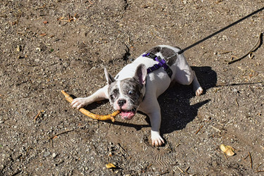 Similar image 22294400