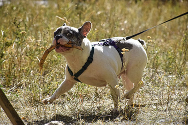 Similar image 22294402