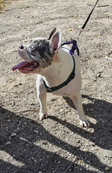 Similar image 22294403