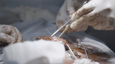 Similar image 22293977