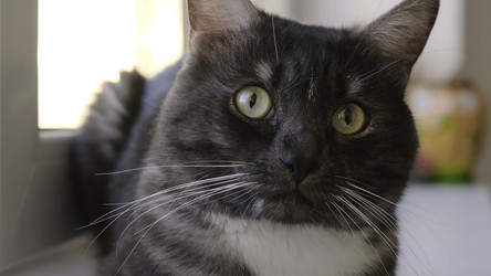 Similar image 22316204