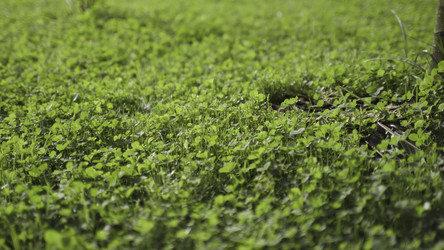 Similar image 22327706