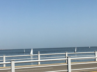 Similar image 22290052