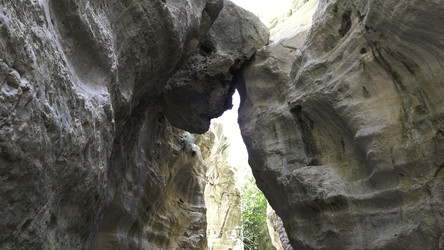 Similar image 22331240