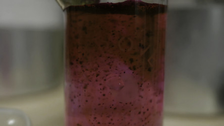 Similar image 22331459