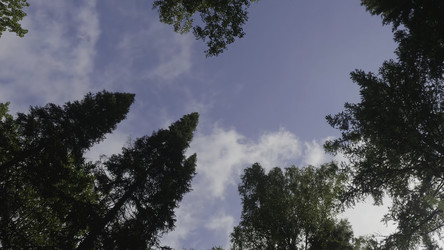 Similar image 22293992