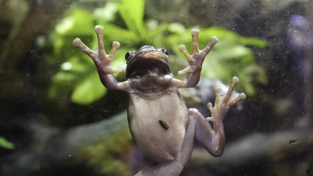 Similar image 22296773