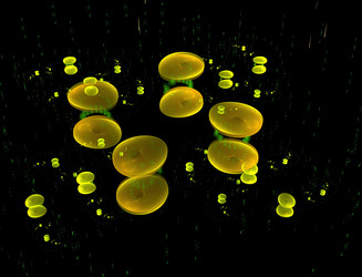 Similar image 22295637