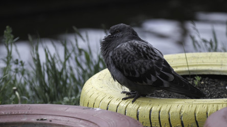 Similar image 22331461