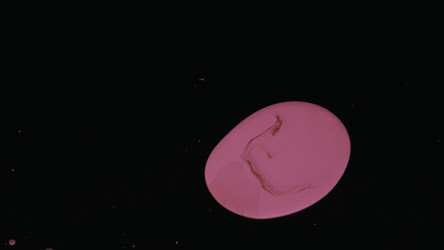 Similar image 22293997