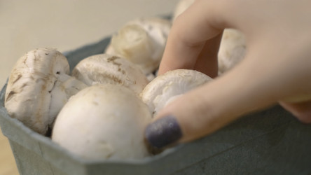 Similar image 22316209