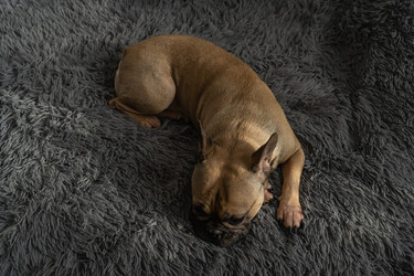 Similar image 22290434