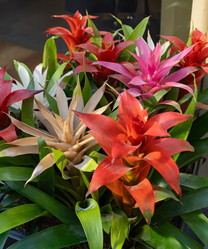 Similar image 22290435