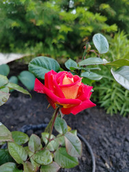 Similar image 22290059