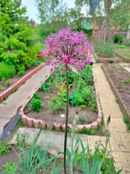 Similar image 22290061