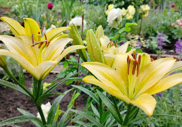 Similar image 22290065