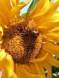 Similar image 22290069