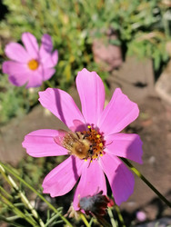 Similar image 22290070