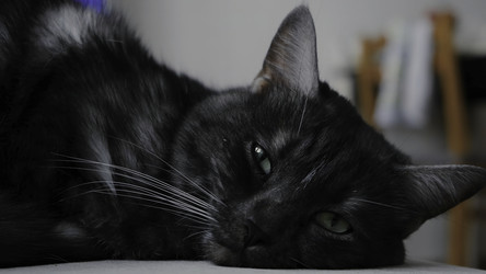 Similar image 22294015