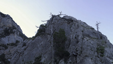 Similar image 22315630