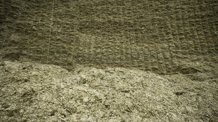 Similar image 22326000