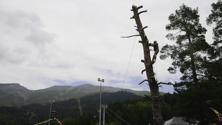 Similar image 22327713