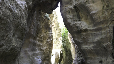 Similar image 22328179