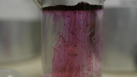 Similar image 22328183