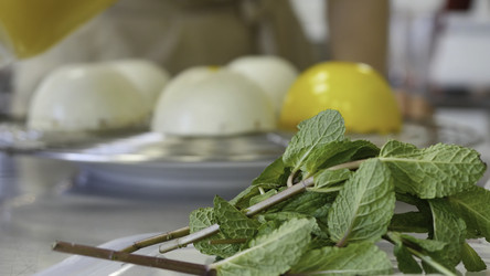 Similar image 22328585