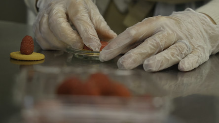 Similar image 22328586