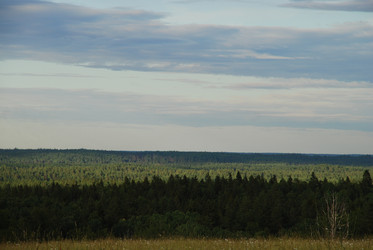 Similar image 22291528