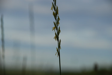 Similar image 22291529