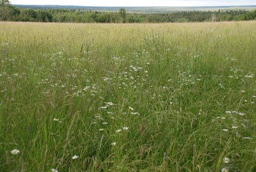 Similar image 22291530