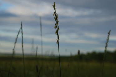 Similar image 22291537