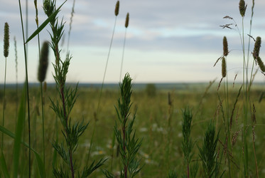 Similar image 22291538