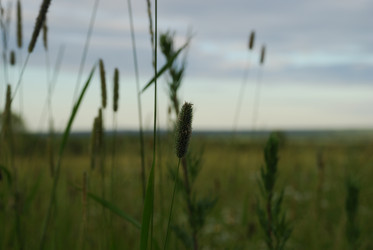 Similar image 22291539