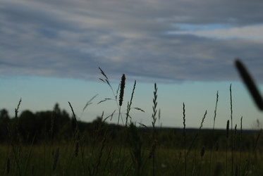 Similar image 22291540