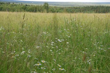 Similar image 22291542