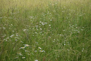 Similar image 22291543