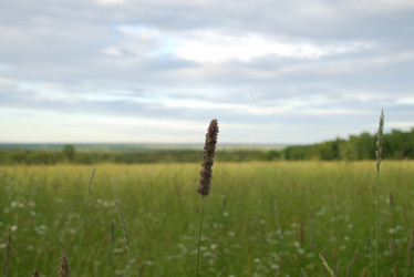 Similar image 22291544