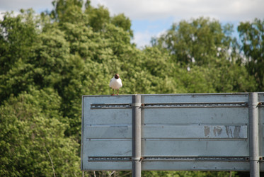 Similar image 22291554