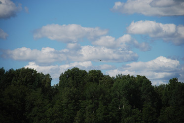 Similar image 22291441