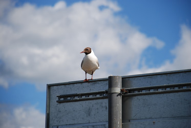 Similar image 22291442