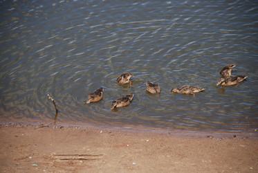 Similar image 22291443