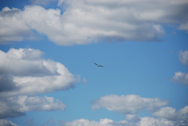 Similar image 22291449