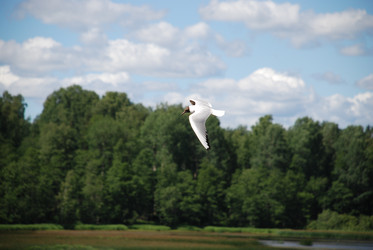 Similar image 22291450