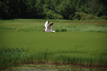 Similar image 22291451