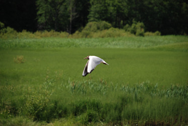 Similar image 22291452