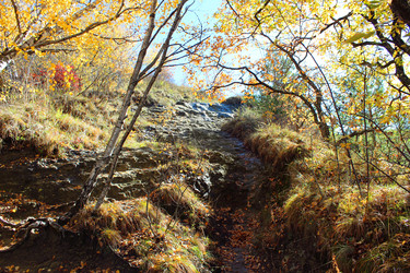 Similar image 22290444