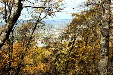 Similar image 22290445